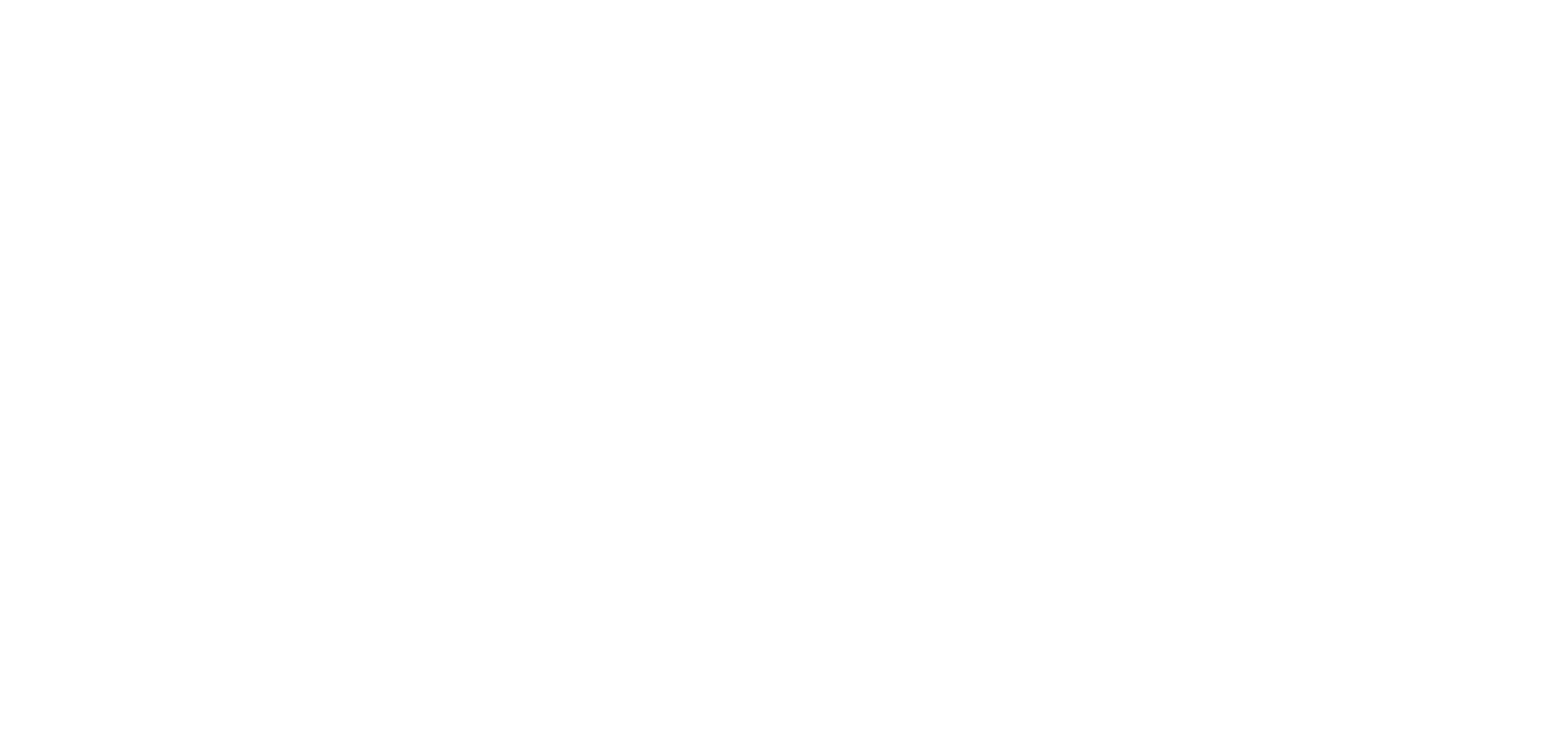 White logo – no background